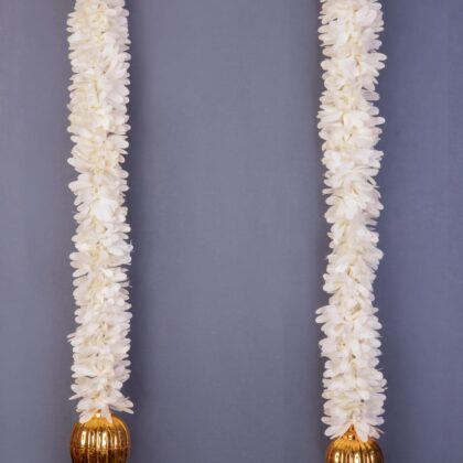 Latkan white 1.5 ft